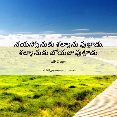 Picture 06 - 1 దినవృత్తాంతాలు 2:11 TELIRV - నయస్సోనుకు - Bible Verse Picture
