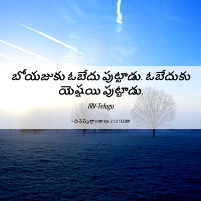 Picture 06 - 1 దినవృత్తాంతాలు 2:12 TELIRV - బోయజుకు ఓబేదు - Bible Verse Picture