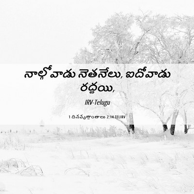 Picture 06 - 1 దినవృత్తాంతాలు 2:14 TELIRV - నాల్గోవాడు - Bible Verse Picture
