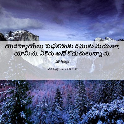 Picture 06 - 1 దినవృత్తాంతాలు 2:27 TELIRV - యెరహ్మెయేలు - Bible Verse Picture