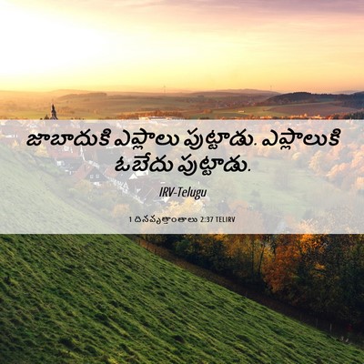 Picture 06 - 1 దినవృత్తాంతాలు 2:37 TELIRV - జాబాదుకి ఎప్లాలు - Bible Verse Picture