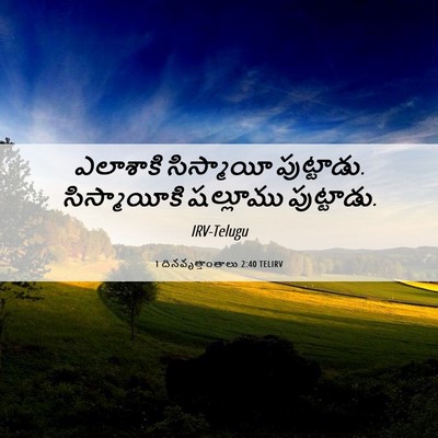 Picture 06 - 1 దినవృత్తాంతాలు 2:40 TELIRV - ఎలాశాకి సిస్మాయీ - Bible Verse Picture