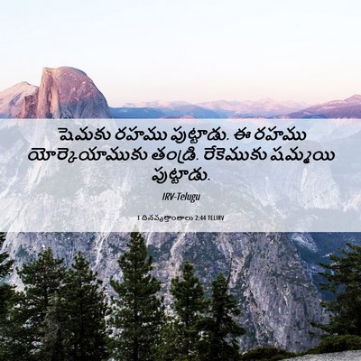 Picture 06 - 1 దినవృత్తాంతాలు 2:44 TELIRV - షెమకు రహము - Bible Verse Picture