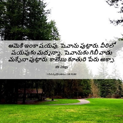 Picture 06 - 1 దినవృత్తాంతాలు 2:49 TELIRV - ఆమెకి ఇంకా షయపు, - Bible Verse Picture