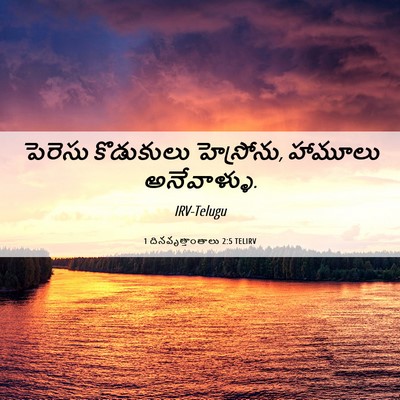 Picture 06 - 1 దినవృత్తాంతాలు 2:5 TELIRV - పెరెసు కొడుకులు - Bible Verse Picture