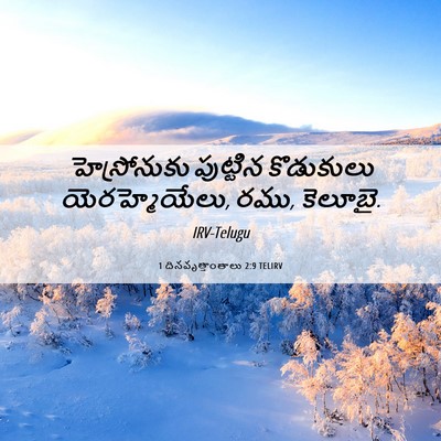 Picture 06 - 1 దినవృత్తాంతాలు 2:9 TELIRV - హెస్రోనుకు - Bible Verse Picture
