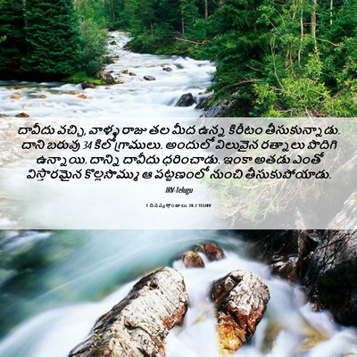 Picture 06 - 1 దినవృత్తాంతాలు 20:2 TELIRV - దావీదు వచ్చి, - Bible Verse Picture
