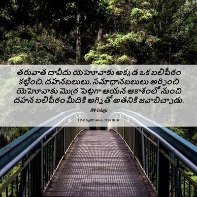 Picture 06 - 1 దినవృత్తాంతాలు 21:26 TELIRV - తరువాత దావీదు - Bible Verse Picture