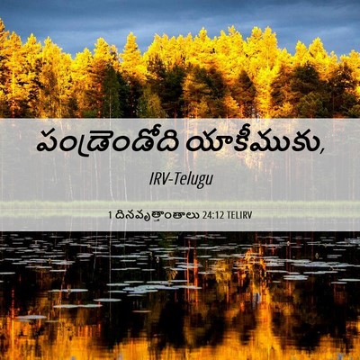Picture 06 - 1 దినవృత్తాంతాలు 24:12 TELIRV - పండ్రెండోది - Bible Verse Picture