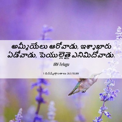 Picture 06 - 1 దినవృత్తాంతాలు 26:5 TELIRV - అమ్మీయేలు - Bible Verse Picture