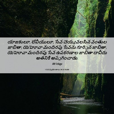 Picture 06 - 1 దినవృత్తాంతాలు 28:13 TELIRV - యాజకులూ, లేవీయులూ, - Bible Verse Picture