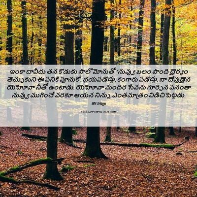 Picture 06 - 1 దినవృత్తాంతాలు 28:20 TELIRV - ఇంకా దావీదు తన - Bible Verse Picture