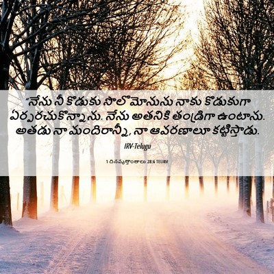 Picture 06 - 1 దినవృత్తాంతాలు 28:6 TELIRV - “నేను నీ కొడుకు - Bible Verse Picture
