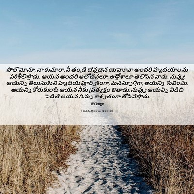 Picture 06 - 1 దినవృత్తాంతాలు 28:9 TELIRV - సొలొమోనూ, నా - Bible Verse Picture