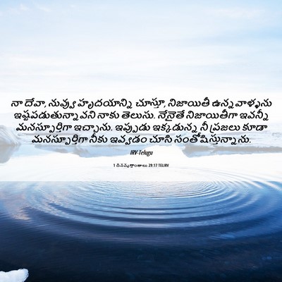 Picture 06 - 1 దినవృత్తాంతాలు 29:17 TELIRV - నా దేవా, నువ్వు - Bible Verse Picture
