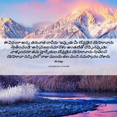 Picture 06 - 1 దినవృత్తాంతాలు 29:20 TELIRV - ఈ విధంగా అన్న - Bible Verse Picture