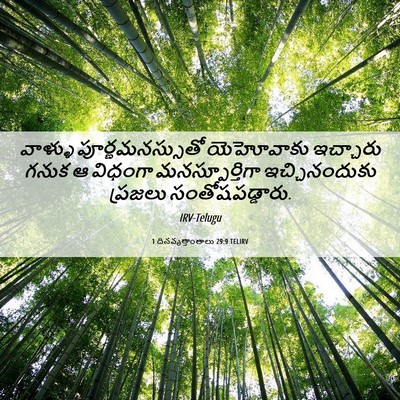 Picture 06 - 1 దినవృత్తాంతాలు 29:9 TELIRV - వాళ్ళు - Bible Verse Picture