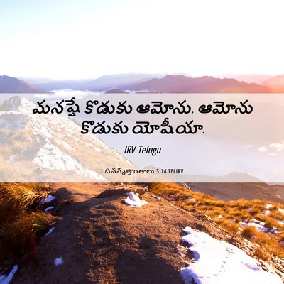 Picture 06 - 1 దినవృత్తాంతాలు 3:14 TELIRV - మనష్షే కొడుకు - Bible Verse Picture
