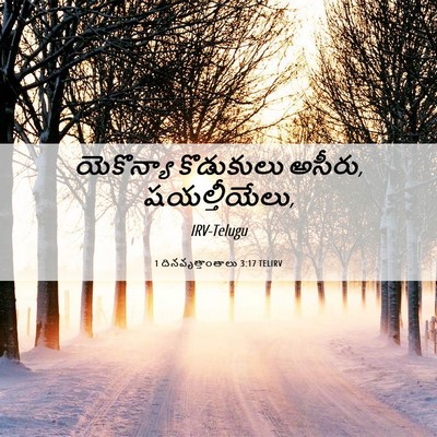 Picture 06 - 1 దినవృత్తాంతాలు 3:17 TELIRV - యెకొన్యా కొడుకులు - Bible Verse Picture