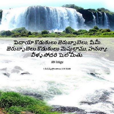 Picture 06 - 1 దినవృత్తాంతాలు 3:19 TELIRV - పెదాయా కొడుకులు - Bible Verse Picture