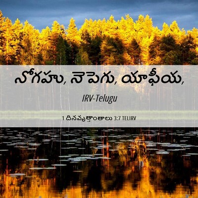 Picture 06 - 1 దినవృత్తాంతాలు 3:7 TELIRV - నోగహు, నెపెగు, - Bible Verse Picture