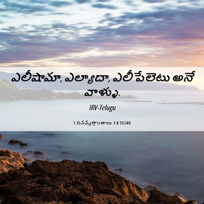Picture 06 - 1 దినవృత్తాంతాలు 3:8 TELIRV - ఎలీషామా, ఎల్యాదా, - Bible Verse Picture