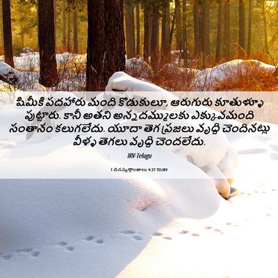 Picture 06 - 1 దినవృత్తాంతాలు 4:27 TELIRV - షిమీకి పదహారు - Bible Verse Picture