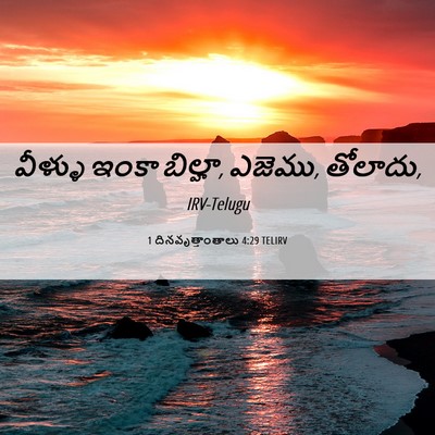 Picture 06 - 1 దినవృత్తాంతాలు 4:29 TELIRV - వీళ్ళు ఇంకా - Bible Verse Picture