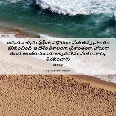 Picture 06 - 1 దినవృత్తాంతాలు 4:40 TELIRV - అక్కడ వాళ్ళకు - Bible Verse Picture