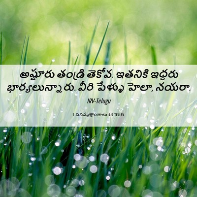 Picture 06 - 1 దినవృత్తాంతాలు 4:5 TELIRV - అష్షూరు తండ్రి - Bible Verse Picture