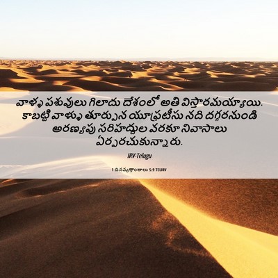 Picture 06 - 1 దినవృత్తాంతాలు 5:9 TELIRV - వాళ్ళ పశువులు - Bible Verse Picture