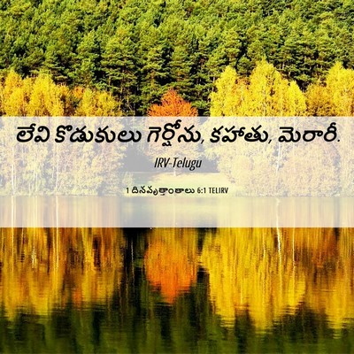 Picture 06 - 1 దినవృత్తాంతాలు 6:1 TELIRV - లేవి కొడుకులు - Bible Verse Picture