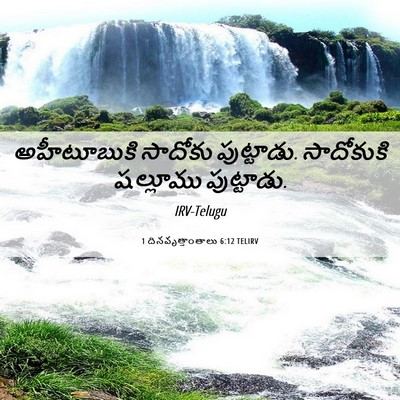 Picture 06 - 1 దినవృత్తాంతాలు 6:12 TELIRV - అహీటూబుకి సాదోకు - Bible Verse Picture