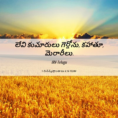 Picture 06 - 1 దినవృత్తాంతాలు 6:16 TELIRV - లేవి కుమారులు - Bible Verse Picture