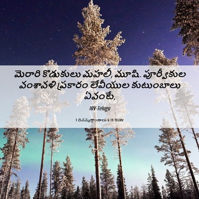 Picture 06 - 1 దినవృత్తాంతాలు 6:19 TELIRV - మెరారి కొడుకులు - Bible Verse Picture