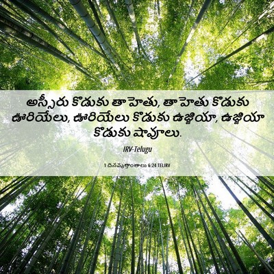Picture 06 - 1 దినవృత్తాంతాలు 6:24 TELIRV - అస్సీరు కొడుకు - Bible Verse Picture