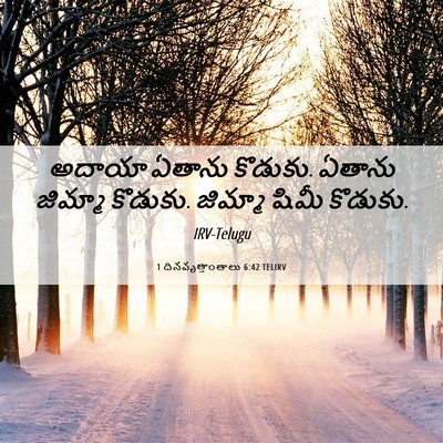 Picture 06 - 1 దినవృత్తాంతాలు 6:42 TELIRV - అదాయా ఏతాను - Bible Verse Picture