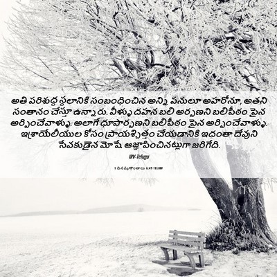 Picture 06 - 1 దినవృత్తాంతాలు 6:49 TELIRV - అతి పరిశుద్ధ - Bible Verse Picture