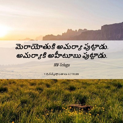 Picture 06 - 1 దినవృత్తాంతాలు 6:7 TELIRV - మెరాయోతుకి అమర్యా - Bible Verse Picture
