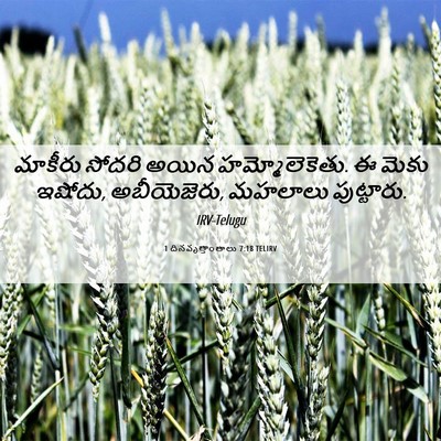 Picture 06 - 1 దినవృత్తాంతాలు 7:18 TELIRV - మాకీరు సోదరి అయిన - Bible Verse Picture