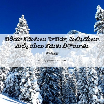 Picture 06 - 1 దినవృత్తాంతాలు 7:31 TELIRV - బెరీయా కొడుకులు - Bible Verse Picture