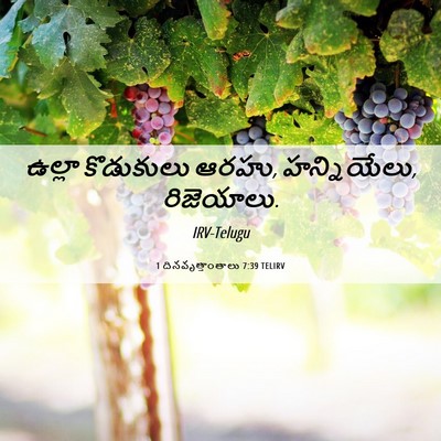 Picture 06 - 1 దినవృత్తాంతాలు 7:39 TELIRV - ఉల్లా కొడుకులు - Bible Verse Picture