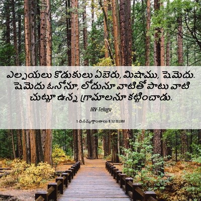 Picture 06 - 1 దినవృత్తాంతాలు 8:12 TELIRV - ఎల్పయలు కొడుకులు - Bible Verse Picture