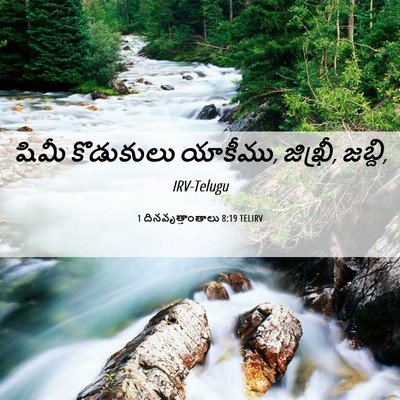 Picture 06 - 1 దినవృత్తాంతాలు 8:19 TELIRV - షిమీ కొడుకులు - Bible Verse Picture