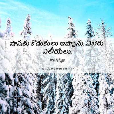Picture 06 - 1 దినవృత్తాంతాలు 8:22 TELIRV - షాషకు కొడుకులు - Bible Verse Picture