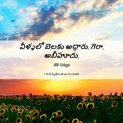 Picture 06 - 1 దినవృత్తాంతాలు 8:3 TELIRV - వీళ్ళలో బెలకు - Bible Verse Picture