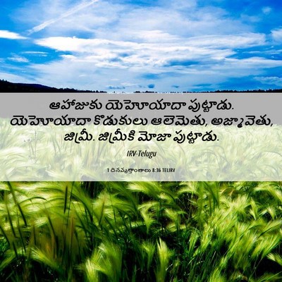 Picture 06 - 1 దినవృత్తాంతాలు 8:36 TELIRV - ఆహాజుకు యెహోయాదా - Bible Verse Picture