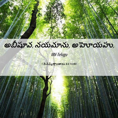 Picture 06 - 1 దినవృత్తాంతాలు 8:4 TELIRV - అబీషూవ, నయమాను, - Bible Verse Picture