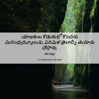 Picture 06 - 1 దినవృత్తాంతాలు 9:30 TELIRV - యాజకుల కొడుకుల్లో - Bible Verse Picture