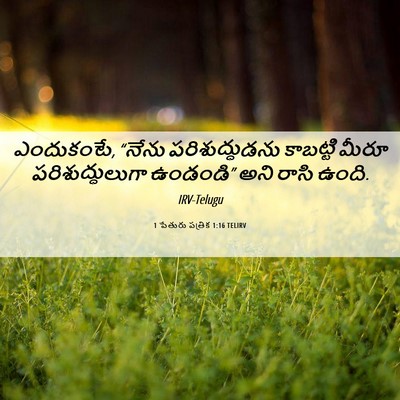 Picture 06 - 1 పేతురు పత్రిక 1:16 TELIRV - ఎందుకంటే, “నేను - Bible Verse Picture